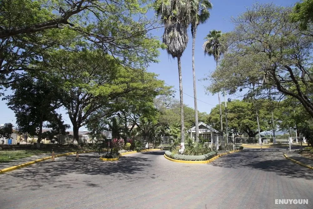 The Oasis - Dış Mekan