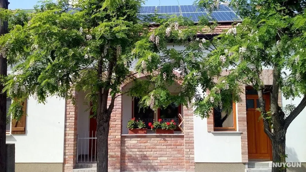 Oázis Apartmanok - Dış Mekanlar