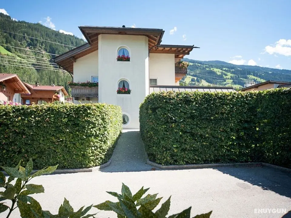 Obetzhofer Distelberg - Oda