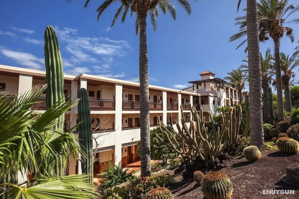 Occidental Jandía Mar - Dış Mekanlar
