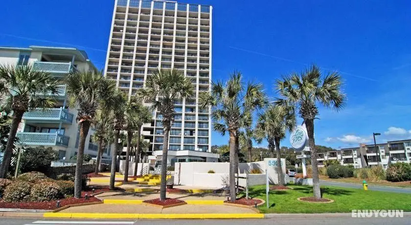 Ocean Forest Plaza by Palmetto Vacations - Genel