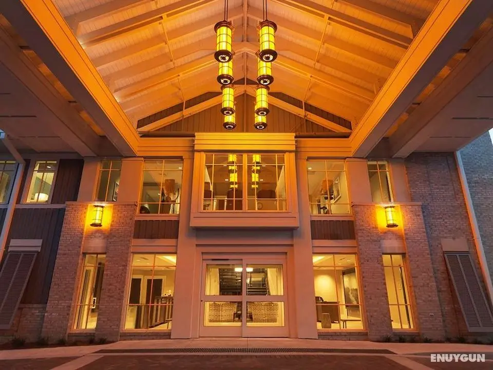 Ocean Oak Resort By Hilton Grand Vacations - Genel