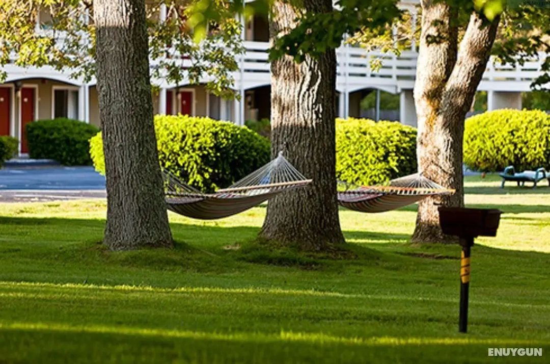 Ocean Park Inn Cape Cod - Öne Çıkan Resim