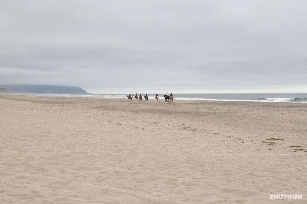 Ocean View Beach House - Öne Çıkan Resim