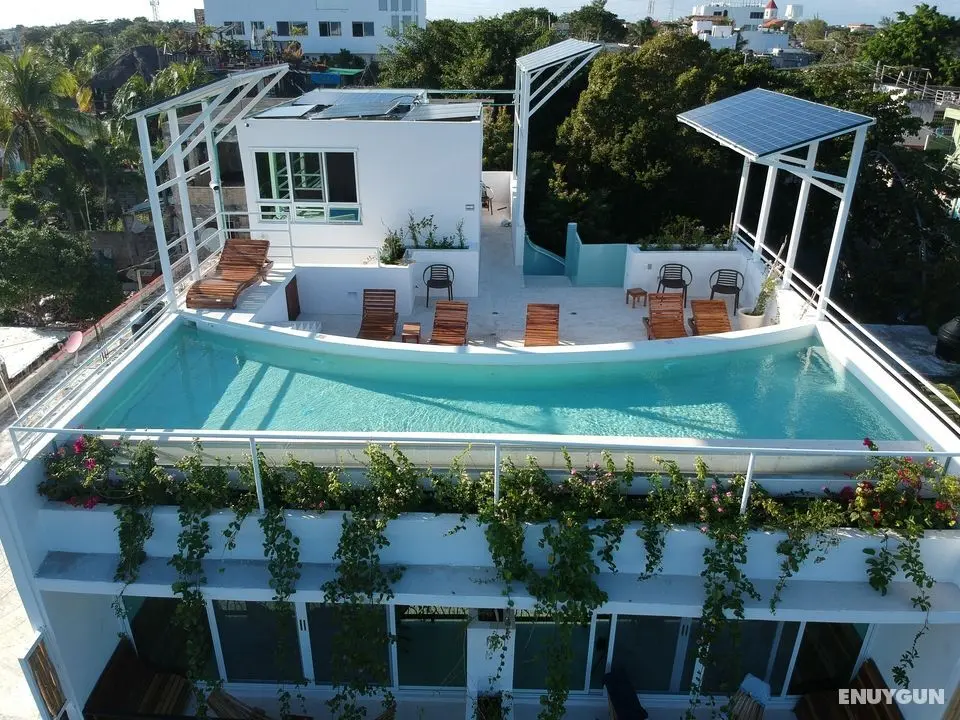 Ocean Zen Suites on 5th Avenue - Adults Only - Genel