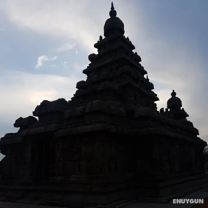 Oceanside Mahabalipuram - Dış Mekan