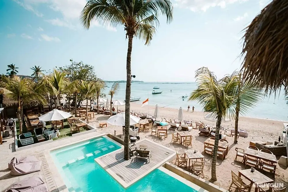 Ohana's Beachfront Resort & Beach Club - Bar