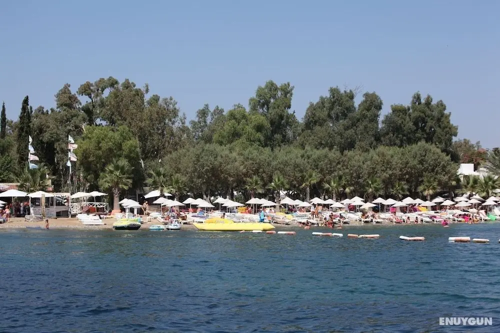Okaliptus Hotel - Öne Çıkan Resim