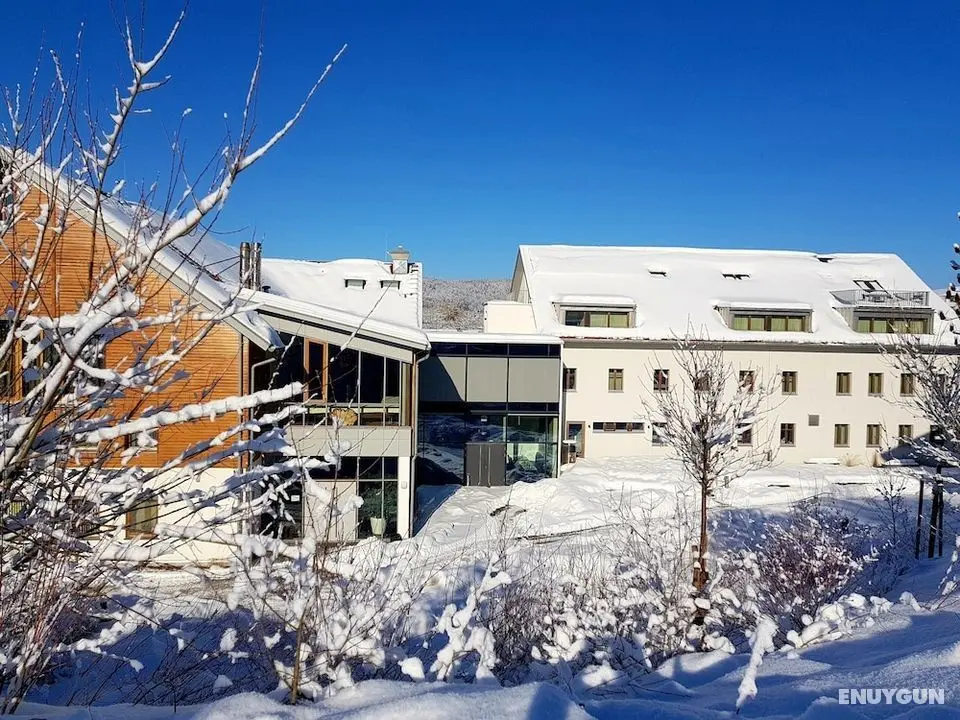 Ökölogisches Bildungszentrum Kultiviert - Öne Çıkan Resim