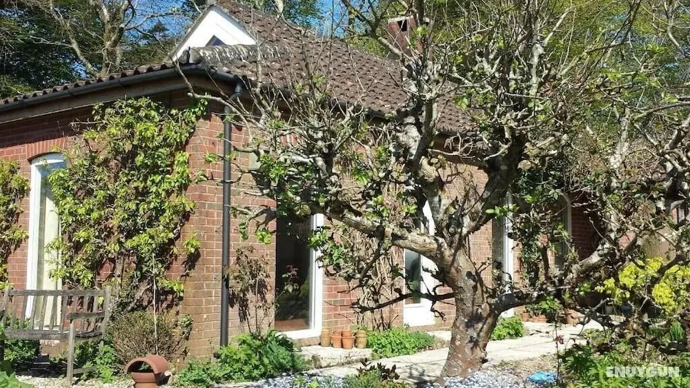 The Old Art Studio BnB - Dış Mekan