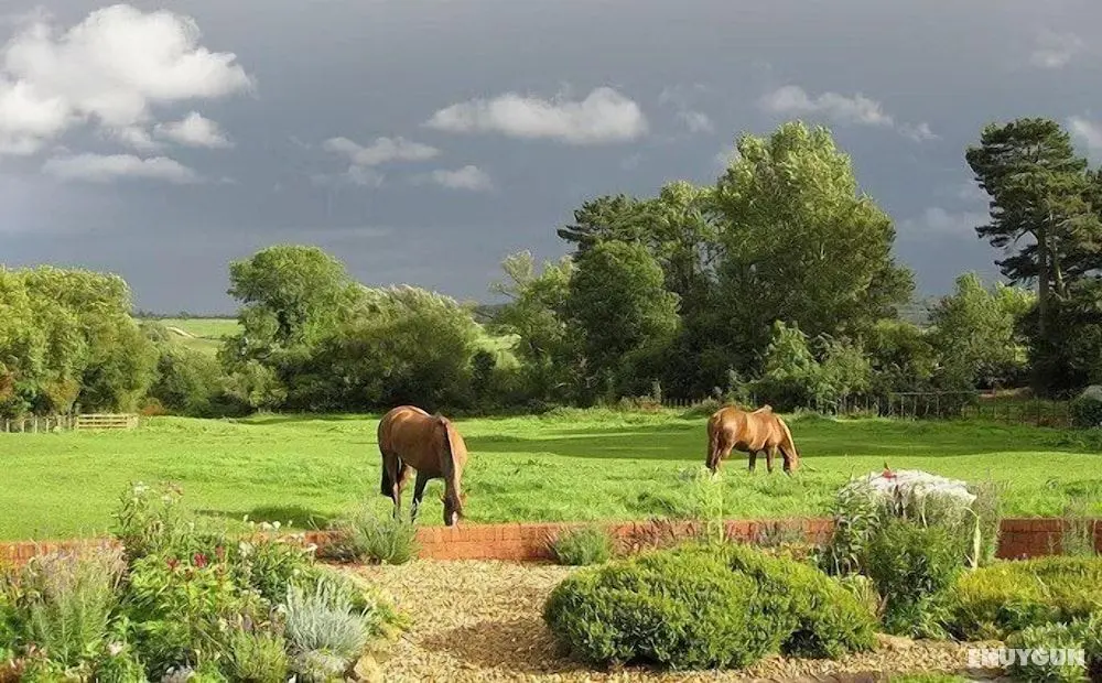 The Old Stables - Dış Mekanlar