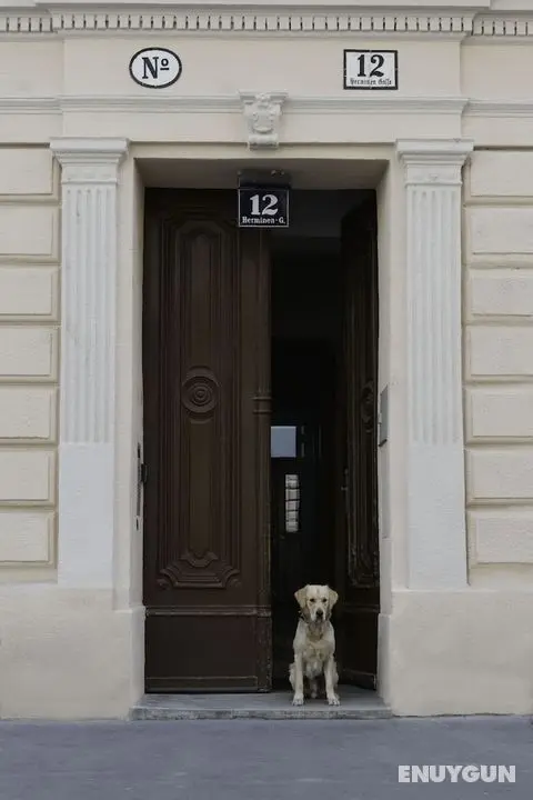 Old Vienna Apartments - Öne Çıkan Resim