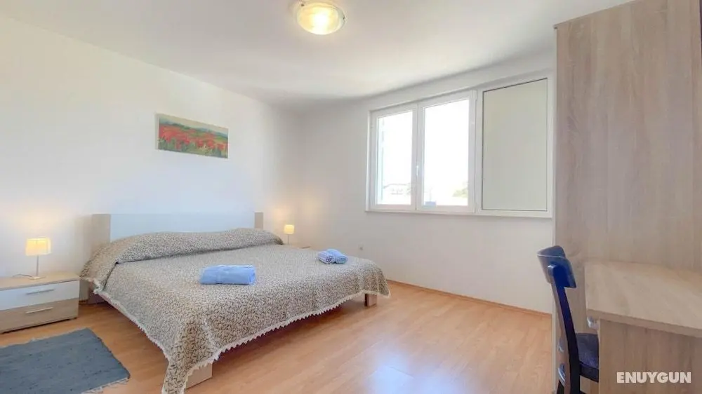 Olga A2 2 in Novigrad - Öne Çıkan Resim