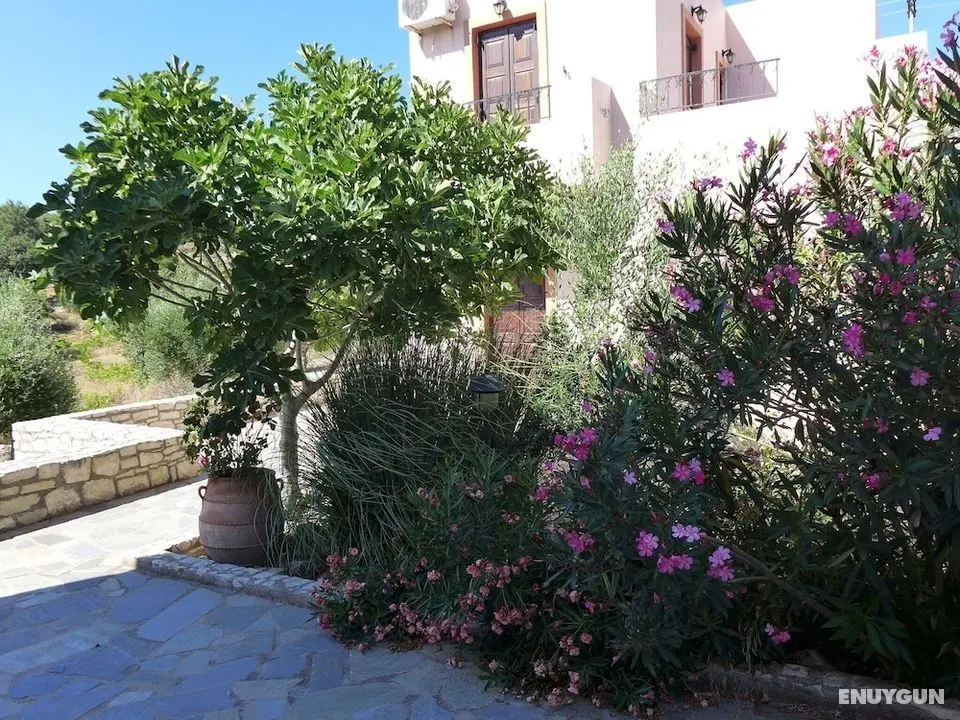 Villa Olga, in Beautiful Countryside, Large Piece of Land, Pool, Axos, NW Coast - Öne Çıkan Resim