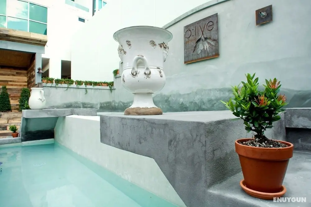 Olive Boutique Hotel, A Small Luxury Hotel of the World - Öne Çıkan Resim