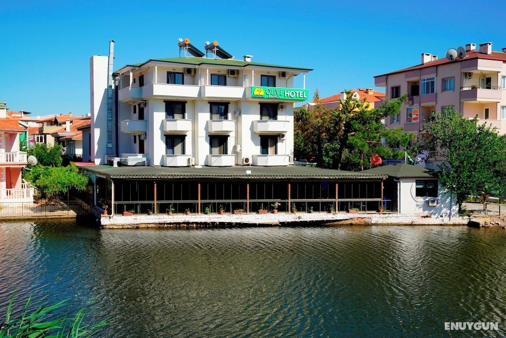 Olive Branch Hotel