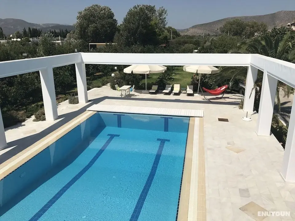 Olive Mansion Suites - Havuz