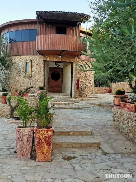 Olive Palace Restaurant and Lounge - Öne Çıkan Resim