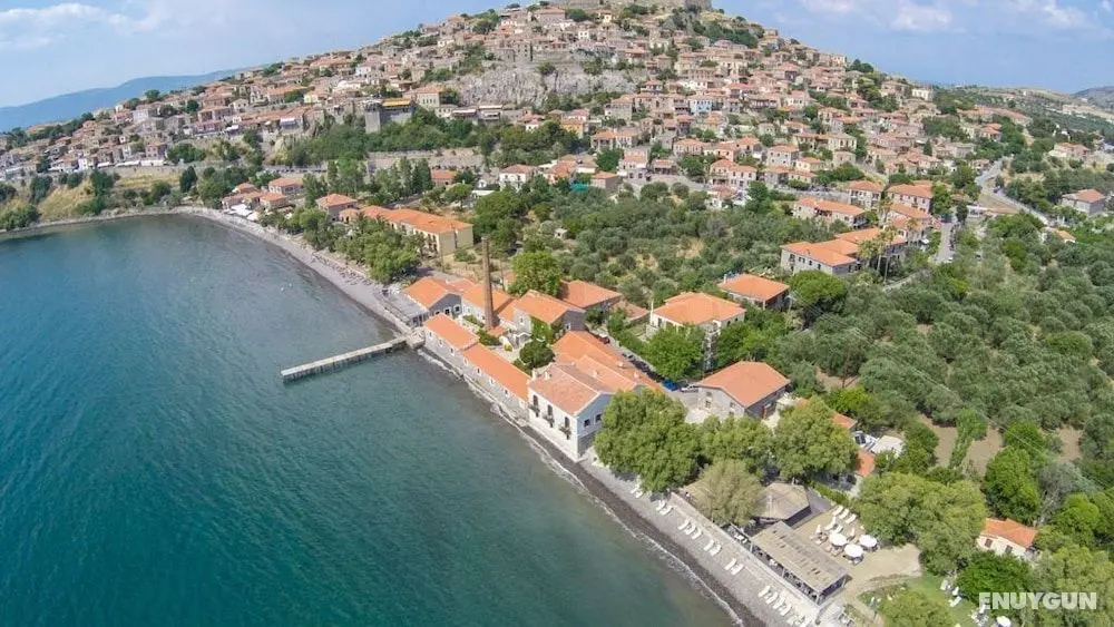 Olive Press Hotel & Apartments - Öne Çıkan Resim
