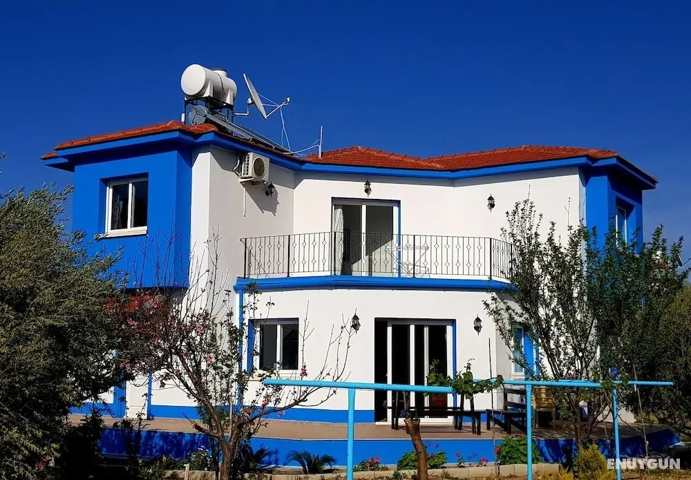Olive Tree Villa 3 Double Bedrooms With Spectacular Mountain Sea View - Öne Çıkan Resim