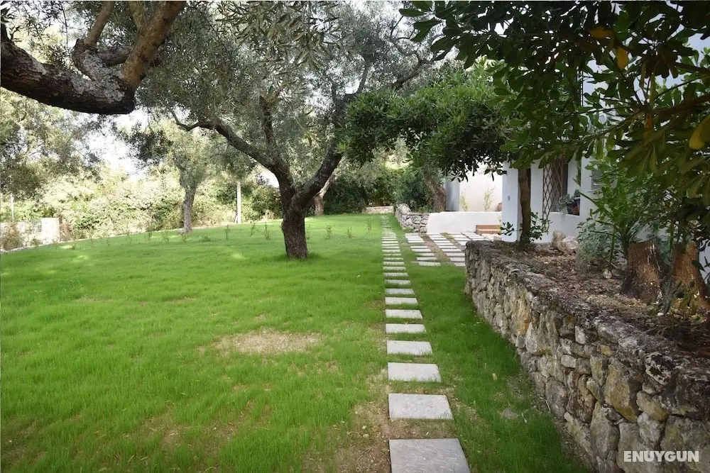 Olivella Villas by Vatos - Dış Mekanlar