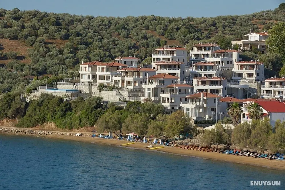 Olivia Sports and Sea - Öne Çıkan Resim