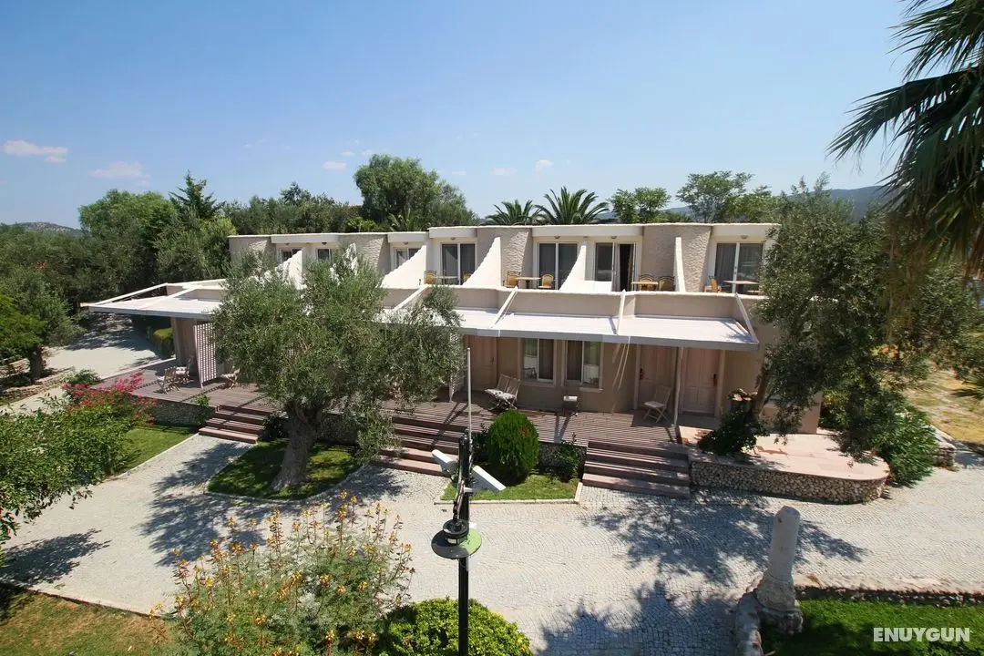 Oliviera Resort Kalem Adası - Dış Mekan