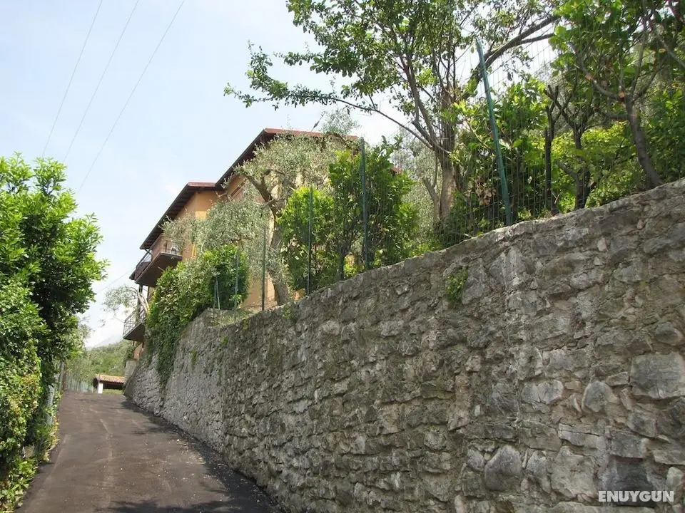 Villa Olivo - Dış Mekan