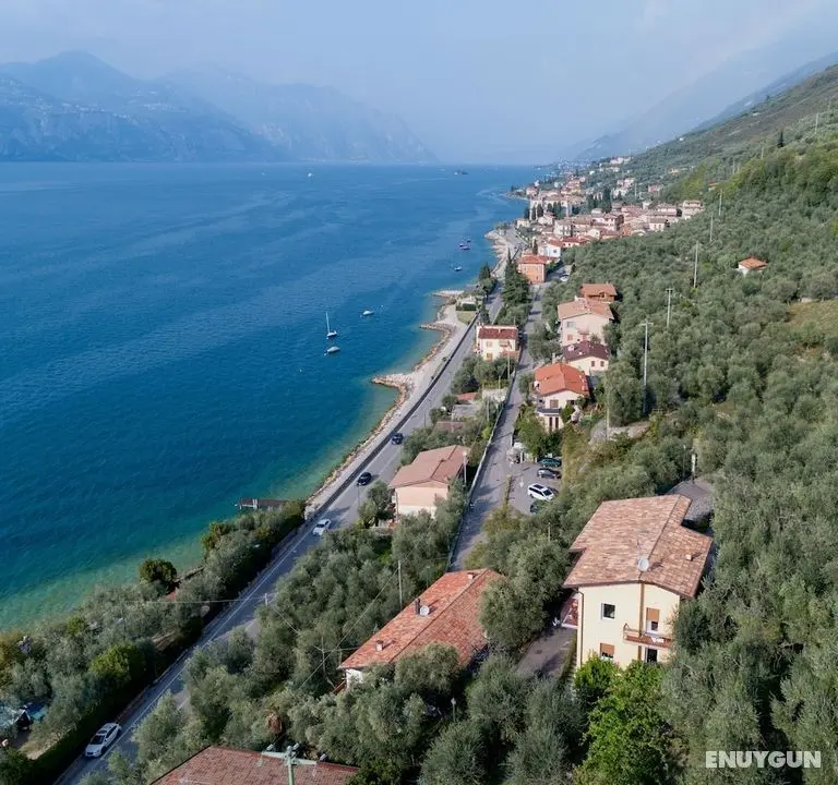 Villa Olivo - Öne Çıkan Resim
