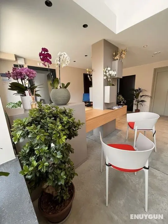 Ollen apartments - Öne Çıkan Resim