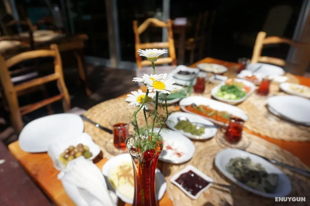 Olympos Mitolojik Tanrılar Kulübü - Genel
