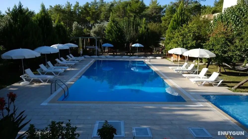 Olympos Olive Garden Pansiyon - Genel