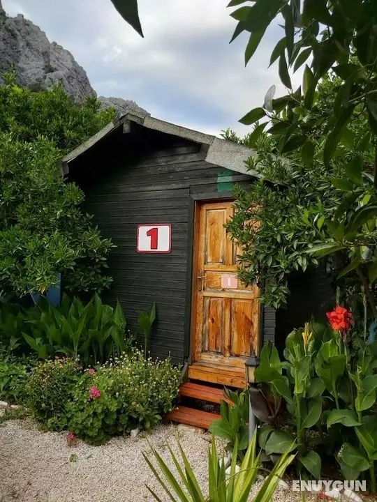 Olympos Tatilya Pansiyon - Dış Mekan