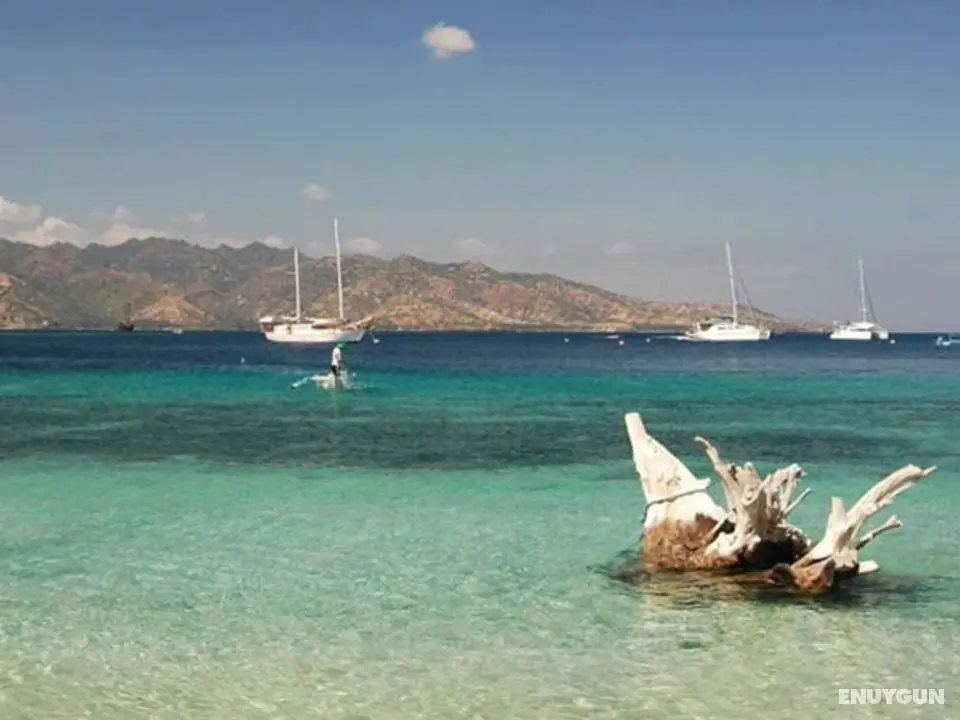Omah Gili Hotel - Öne Çıkan Resim