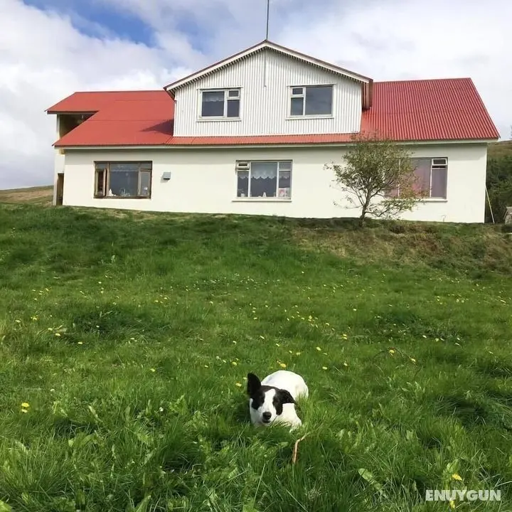 Öndólfsstaðir Farm B&B - Öne Çıkan Resim