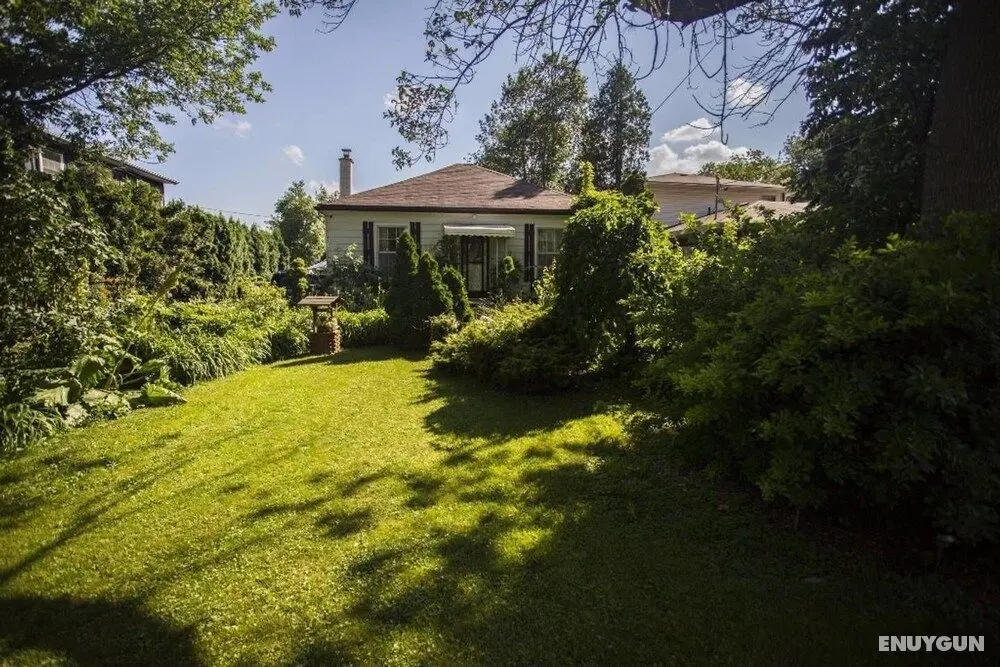 ONE of a Kind Experience Heritage Cottage - Dış Mekan
