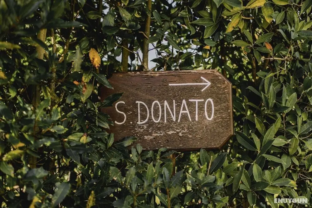 One Bedroom Farmhouse Apartment With Shared Pool in Fattoria Sardi Wine Resort in Lucca - Oda