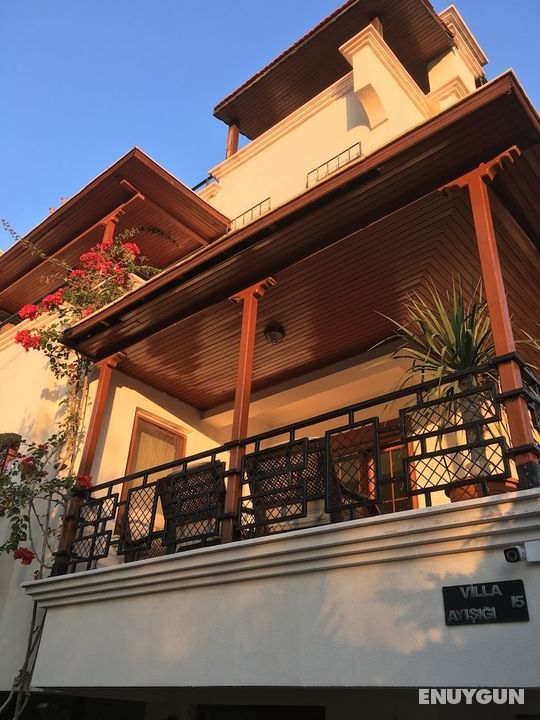 Orange Garden