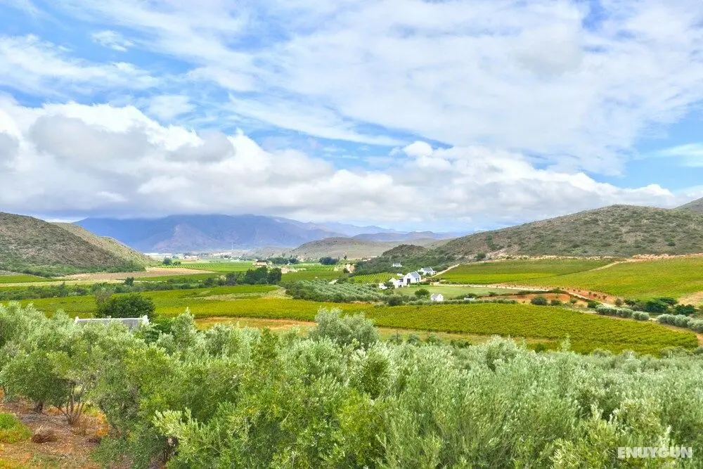 Orange Grove by Totalstay - Oda Manzaraları