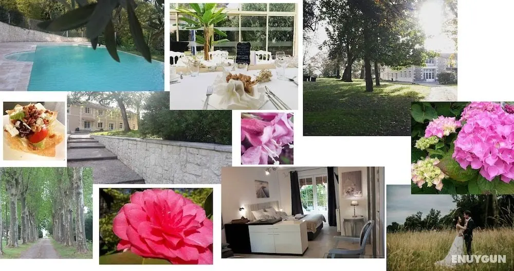 Orangerie du Château Marith - Öne Çıkan Resim