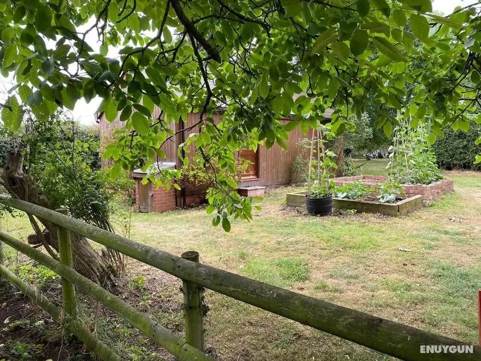 Orchard Cabin Herefordshire Wye Valley - Dış Mekan