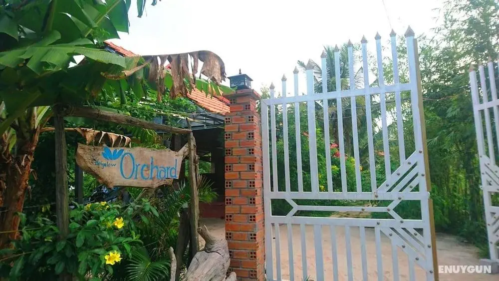 Orchard Fruit Farm Bungalow - Öne Çıkan Resim