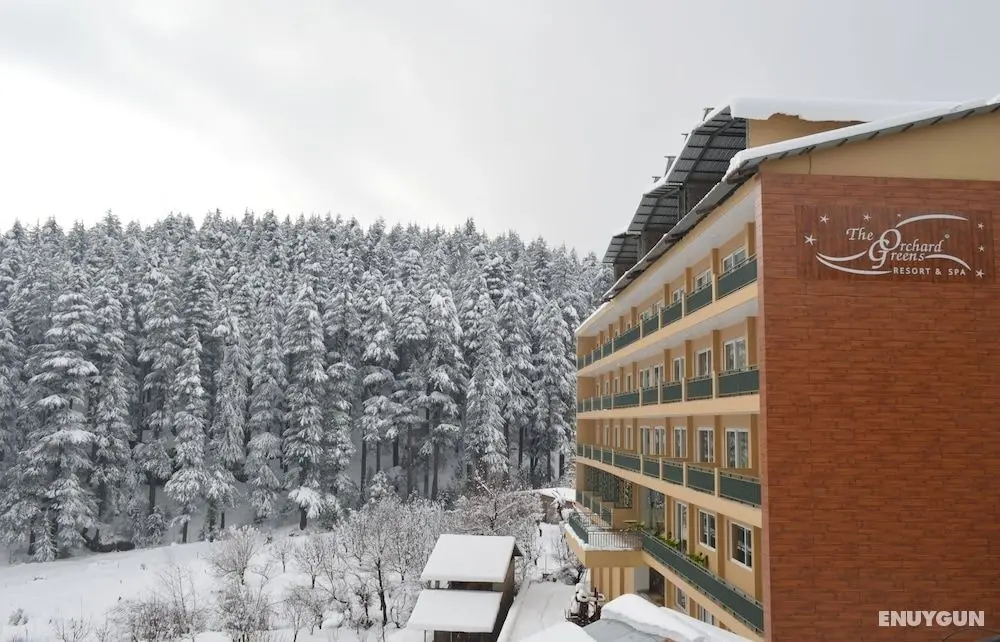 The Orchard Greens Resort and Spa - Öne Çıkan Resim