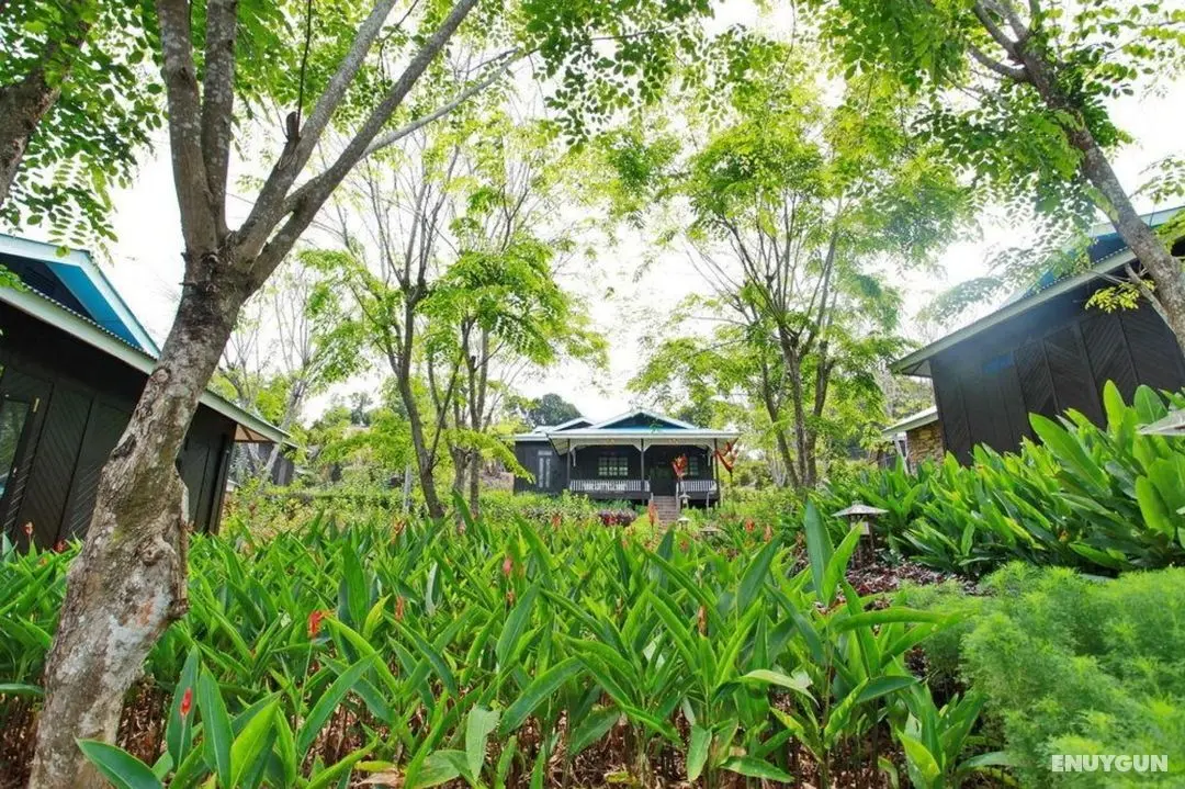 The Orchard Wellness & Health Resort Malaysia - Genel