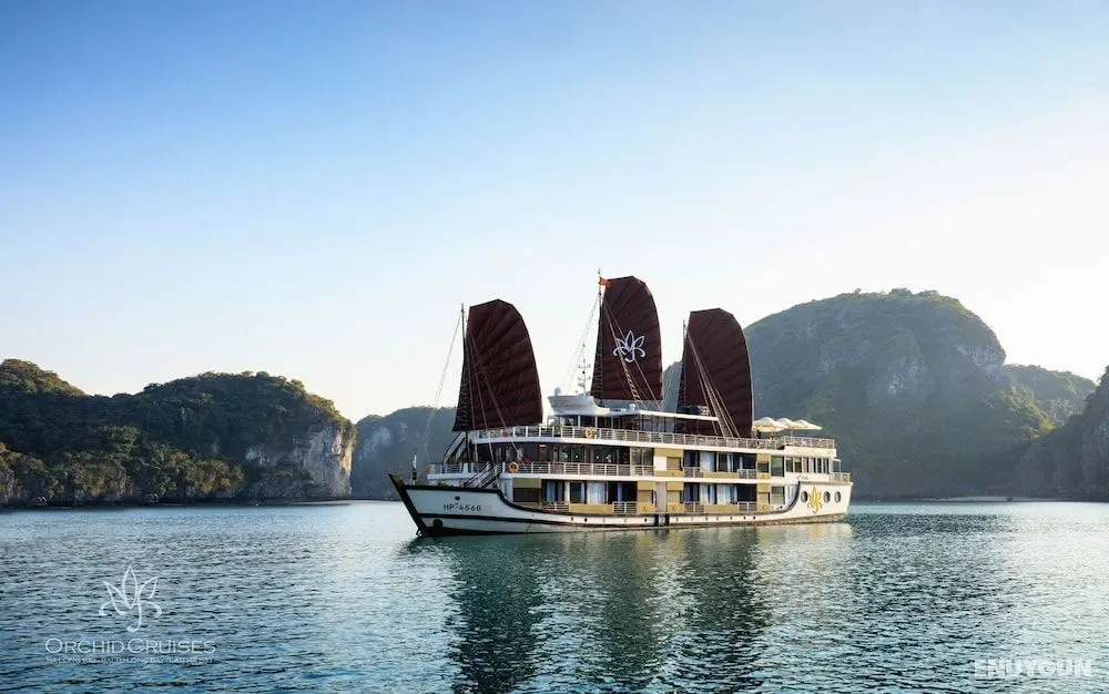 Orchid Classic Cruise - Öne Çıkan Resim