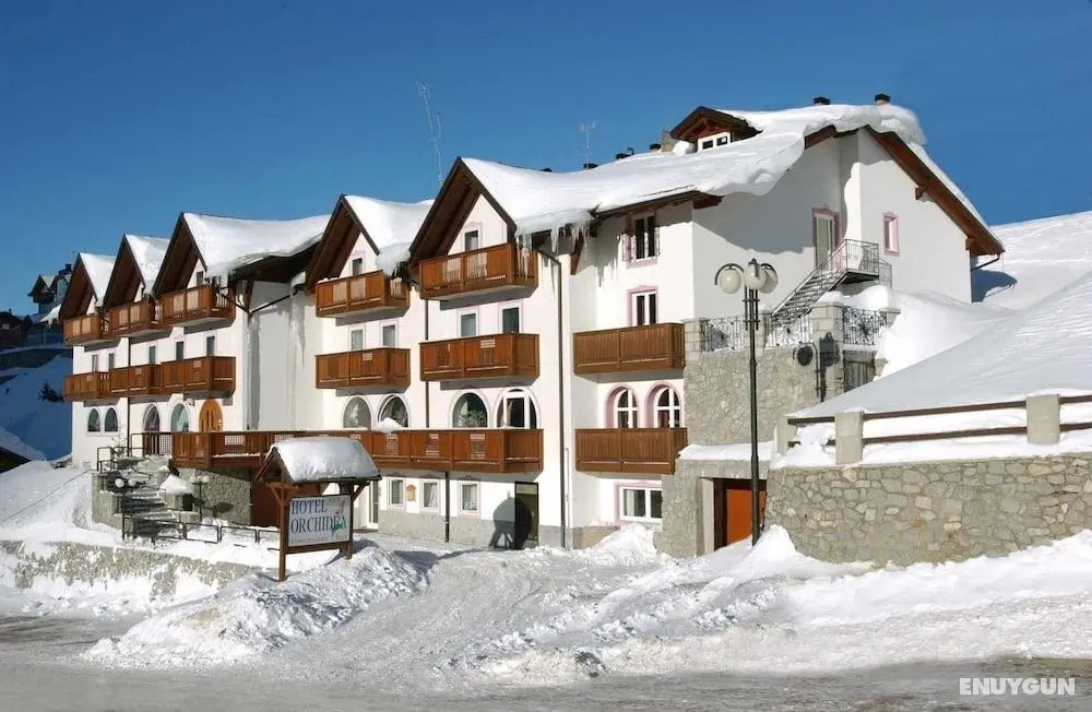 Hotel Orchidea - Öne Çıkan Resim