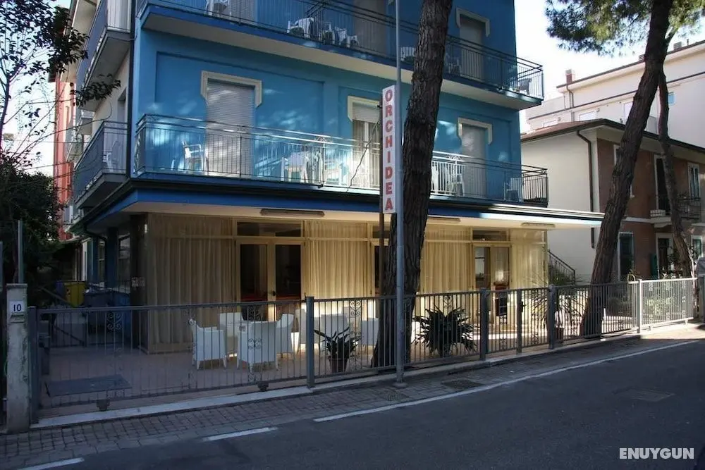 Hotel Orchidea - Öne Çıkan Resim