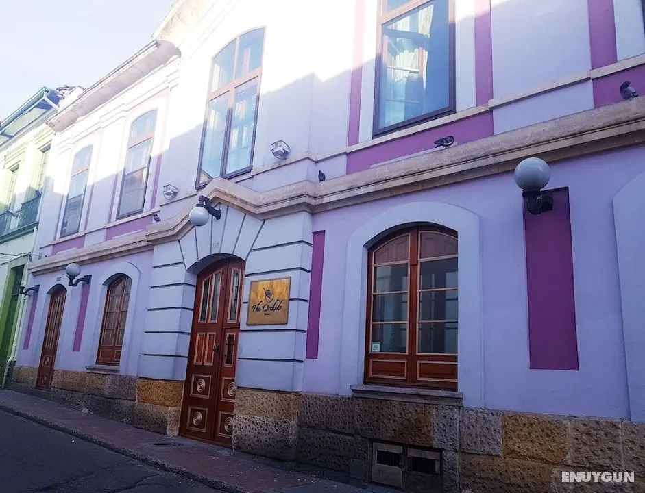 The Orchids Hotel - Dış Mekan
