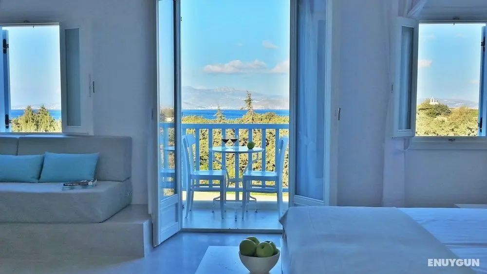 Orion Naxos Hotel - Öne Çıkan Resim