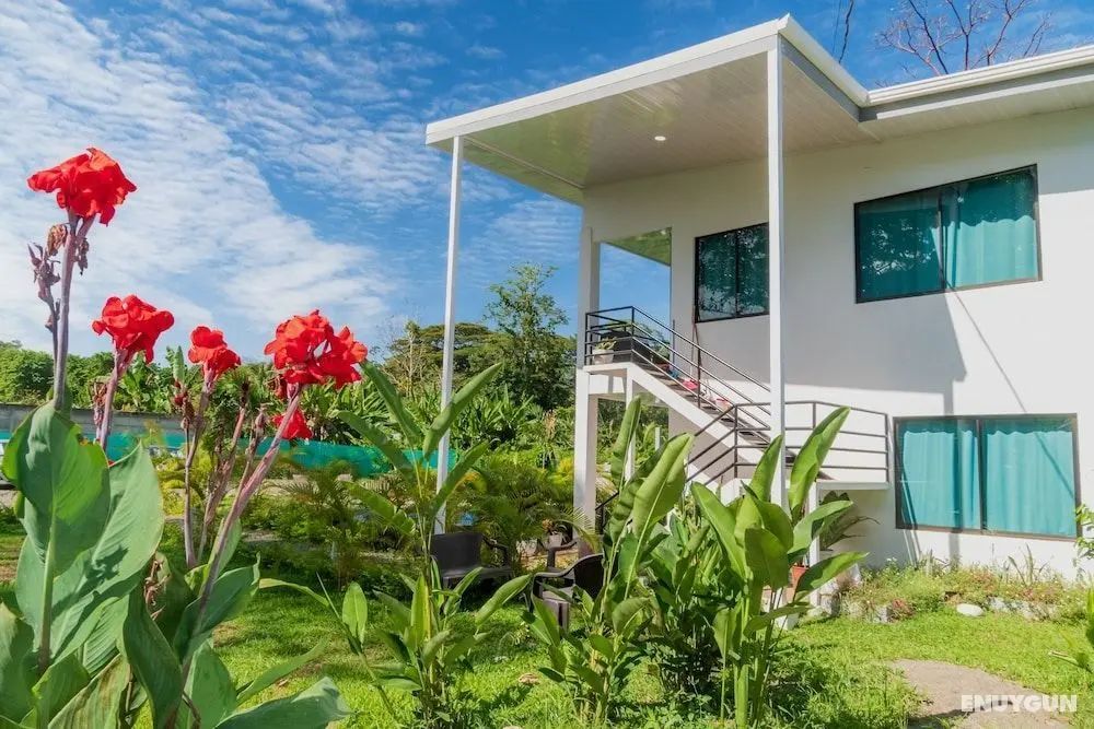 Oso Perezoso Pool Villa - Öne Çıkan Resim